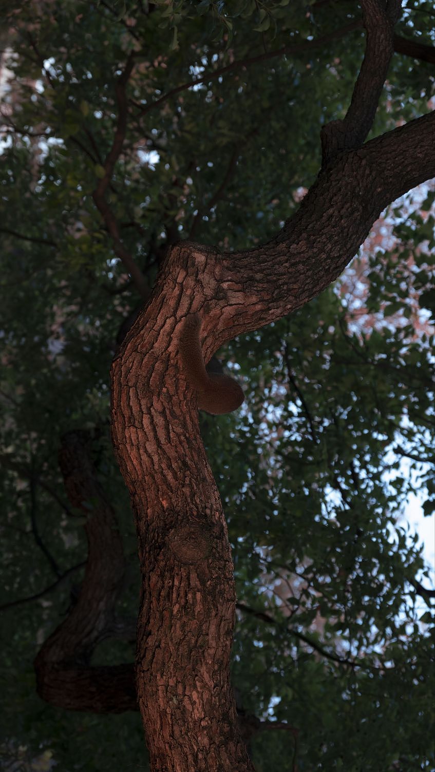 日出东方落于西（图ZMzU3NjAyMjIw） - 风光摄影 - 站酷设计师春夏Carida原创素材 - 站酷ZCOOL