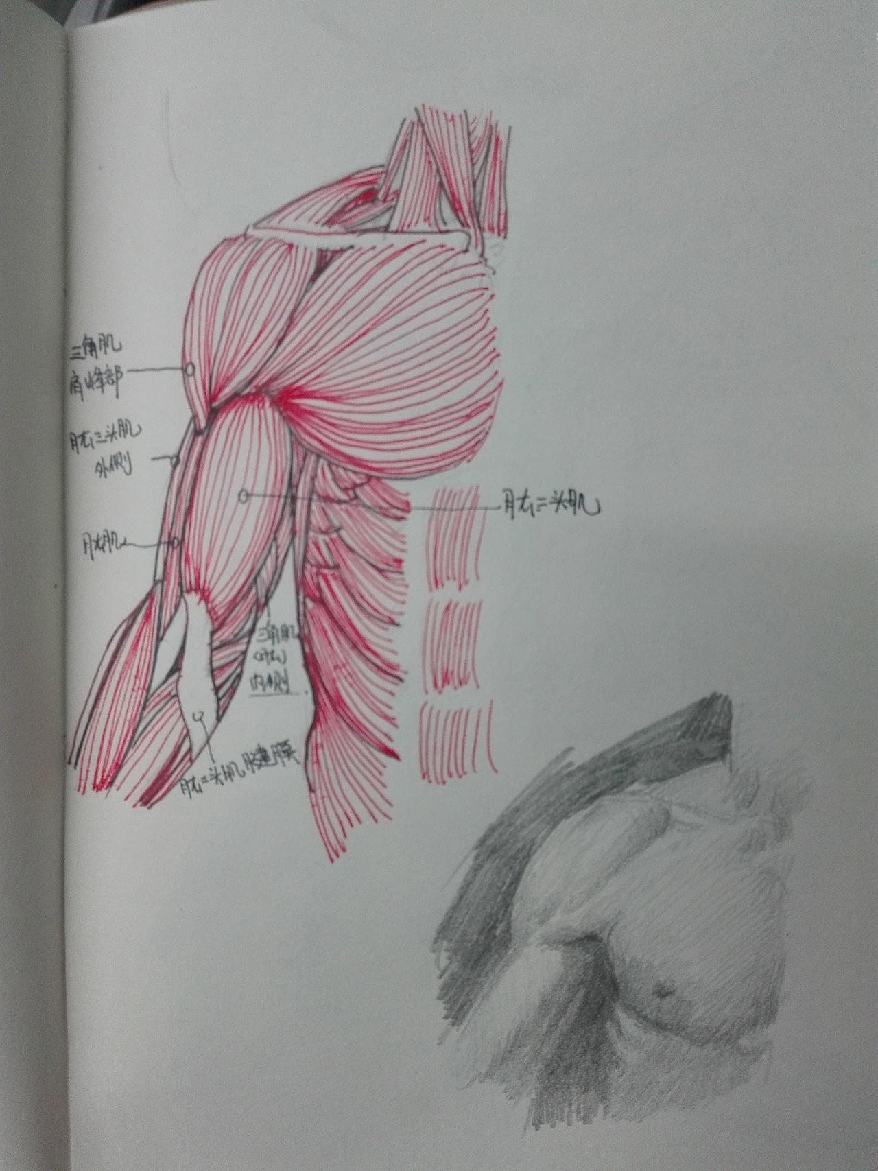 2016:小本本上的。