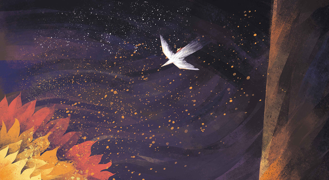 《精灵夜雨》插画（图ZMjAwNzUwMDUy） - 绘本 - 站酷设计师菊子juzi原创素材 - 站酷ZCOOL