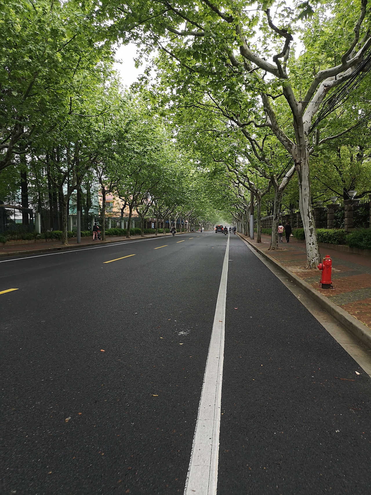 每日一拍-022（图ZMTU1NjI2NjI0） - 风光摄影 - 站酷设计师芝草晟林原创素材 - 站酷ZCOOL