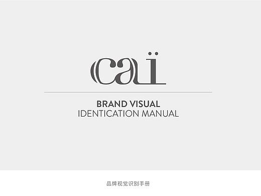 珠宝品牌vi设计