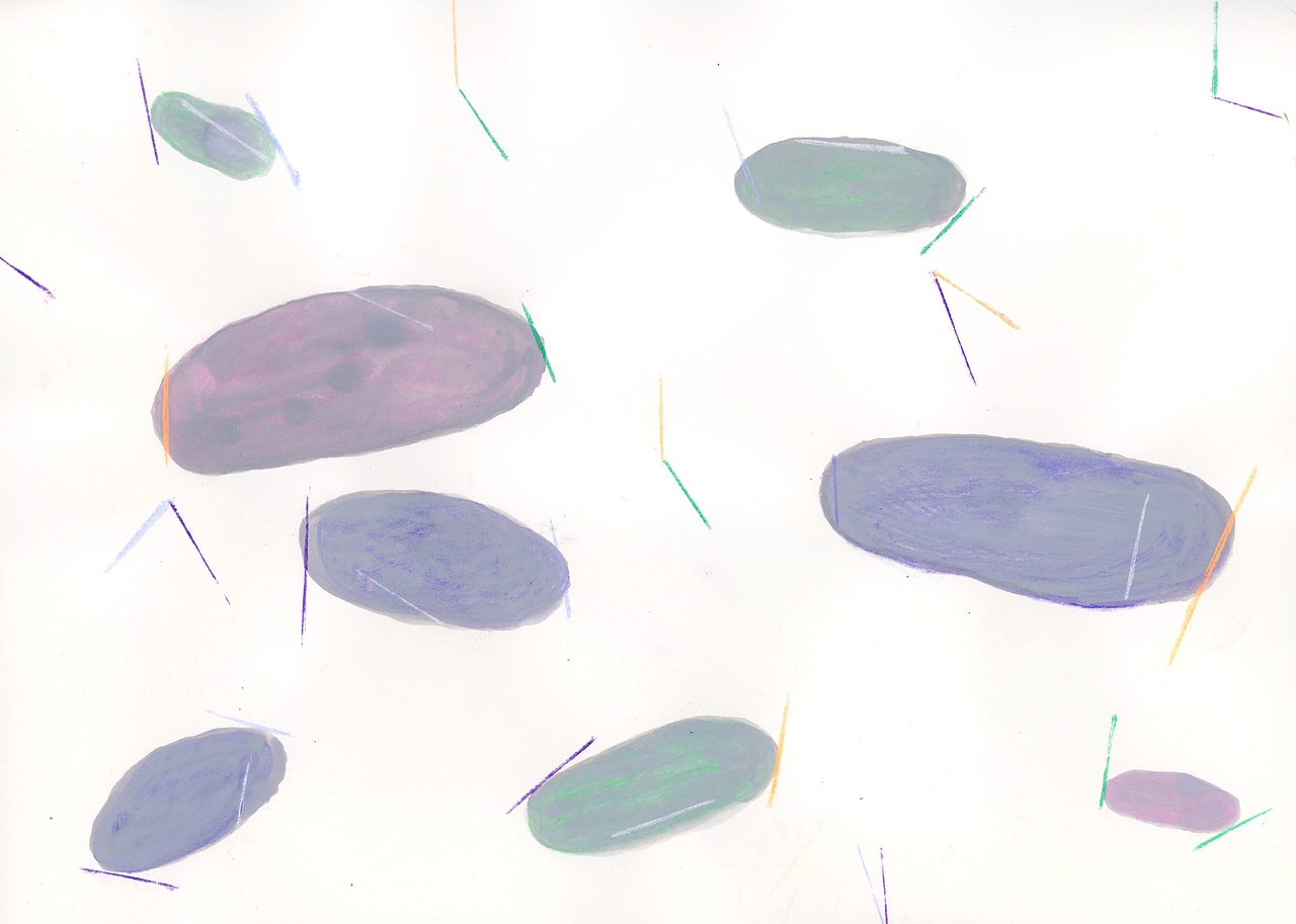 插图项目 | meichin服装合作