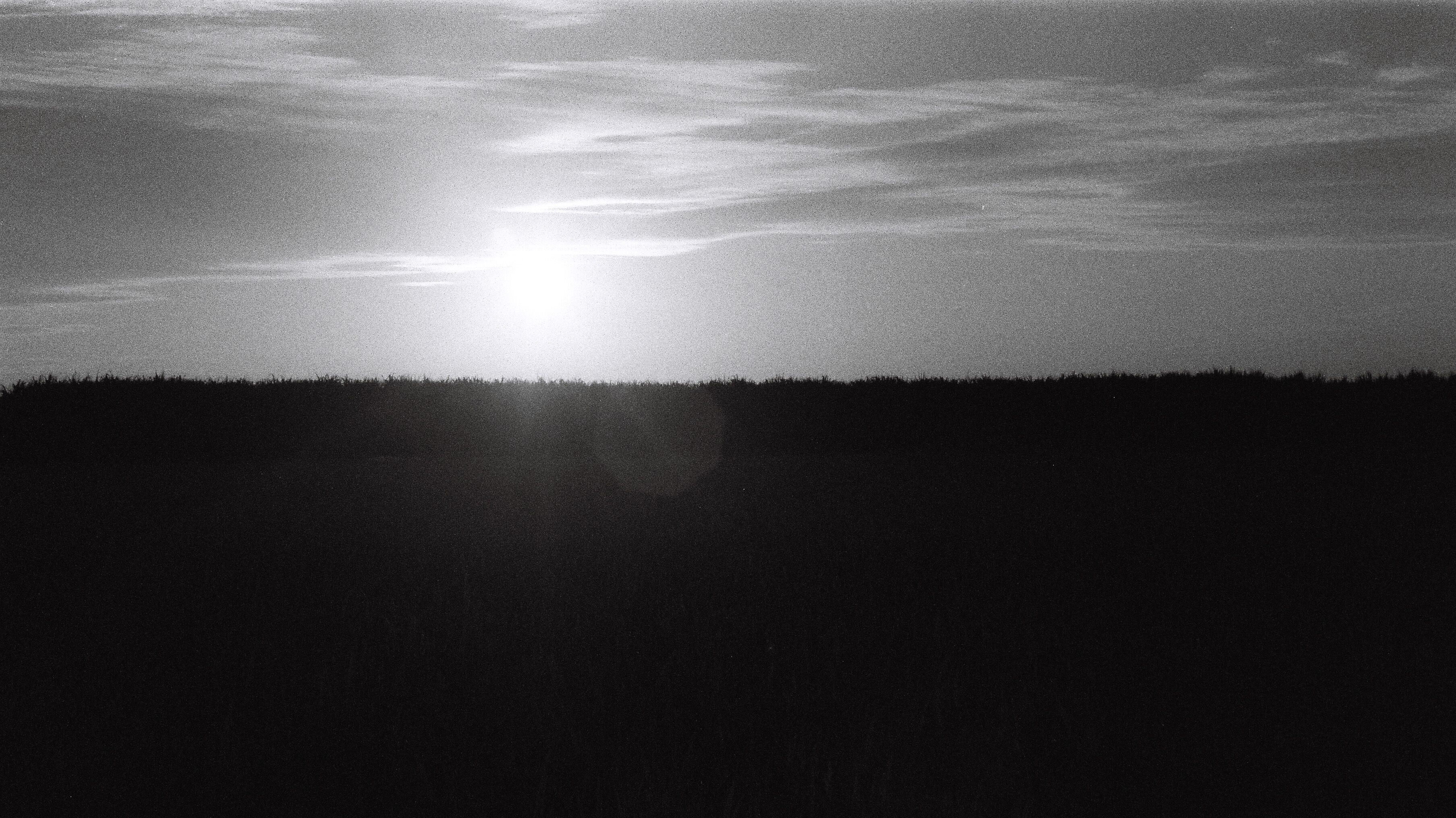 荒漠野草的个人主页（封面预览） - 主页封面设置 - 站酷设计师荒漠野草原创素材 - 站酷ZCOOL