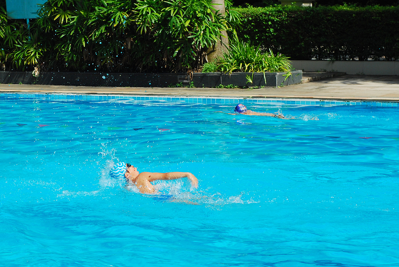 游泳赛场上的孩子们