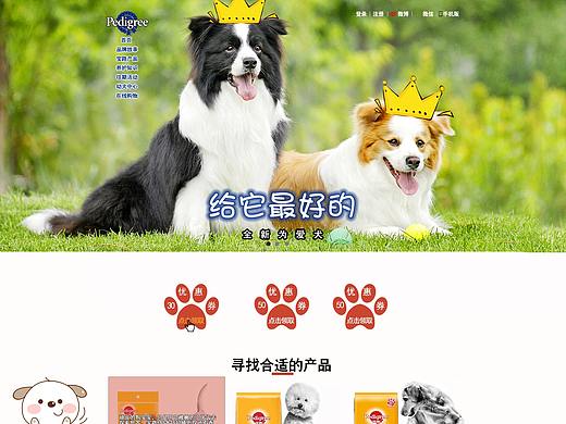 网站