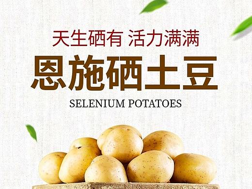 土豆详情