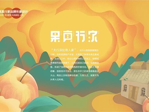 《果真行家》水果果干品牌形象设计