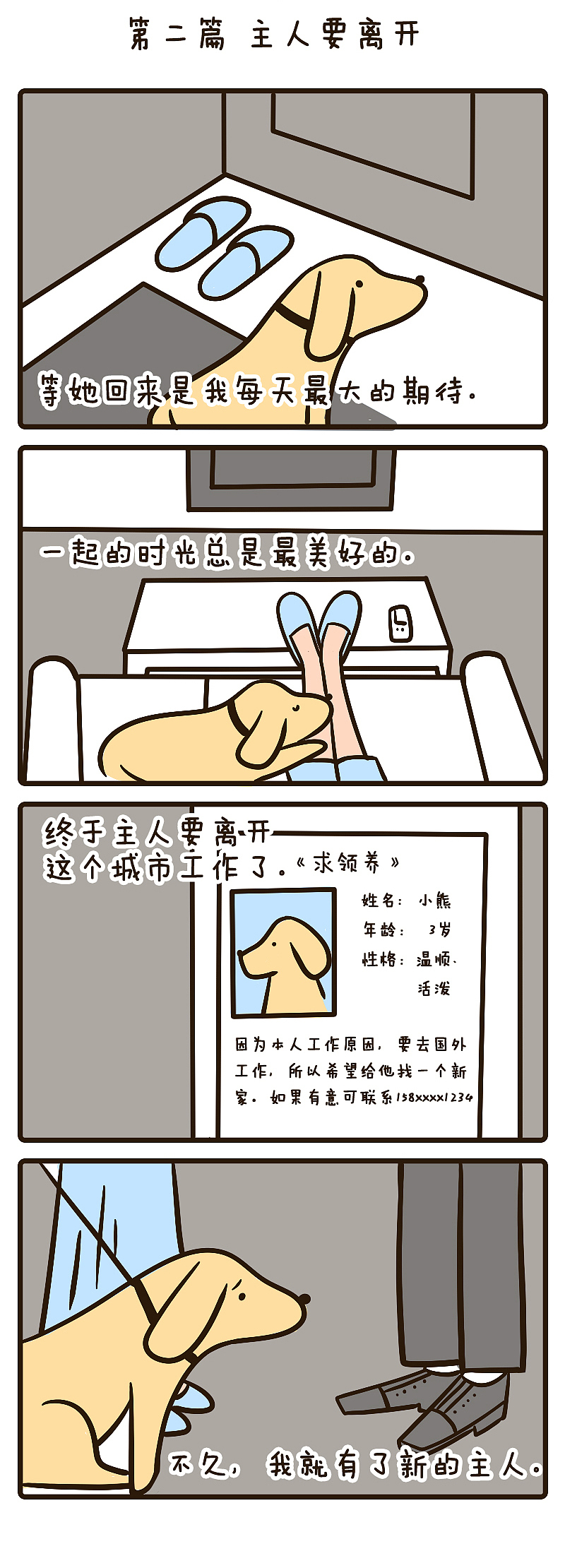 流浪宠物主题漫画-小熊