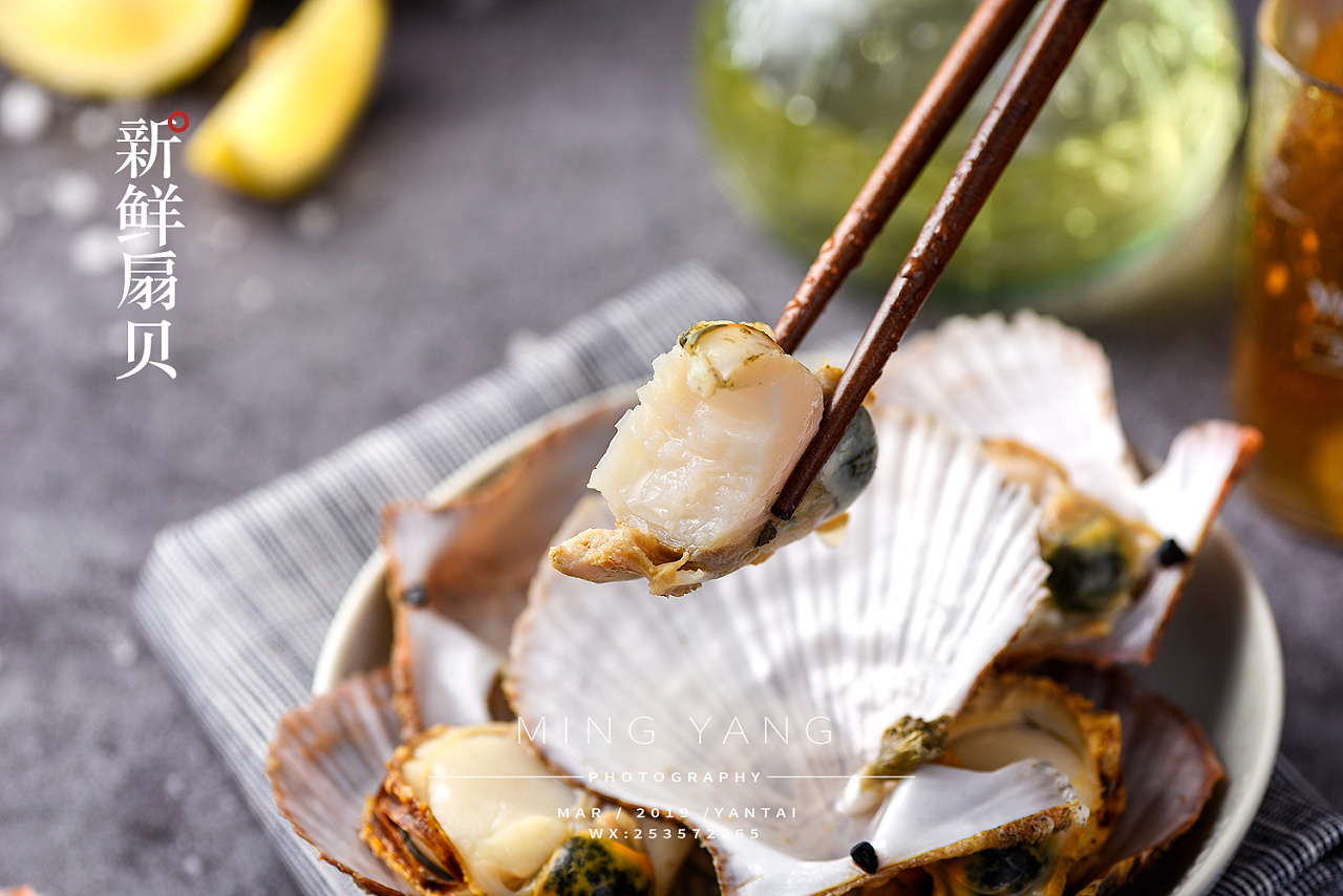 扇贝鲜活海鲜拍摄