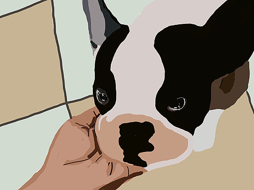 汪汪隊（個人主頁-ZNjI1NjE1MjA=） - 藝術(shù)插畫 - 站酷設(shè)計師向上而生的飛鳥原創(chuàng)素材 - 站酷ZCOOL