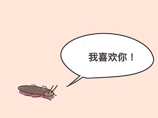 HOME<NO.65勇气四啥>
