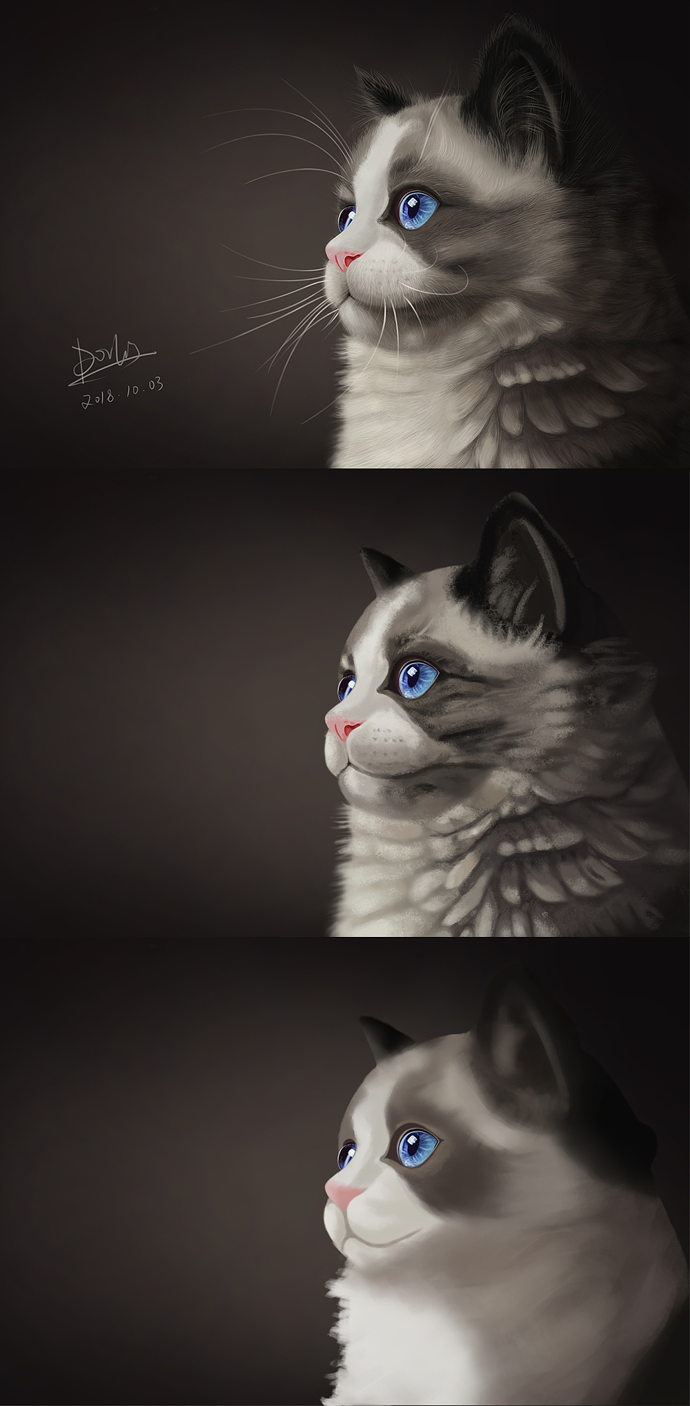 写实动物猫|插画|创作习作|古月潇灵 - 临摹作品 - 站酷 (zcool)