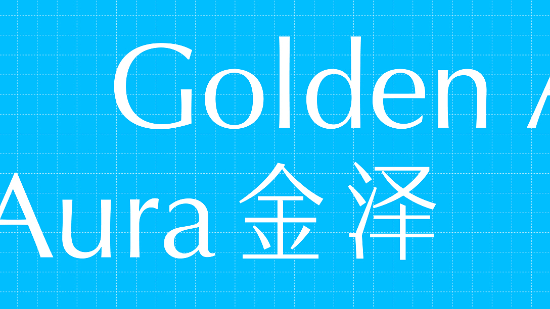 金泽教育集团 品牌视觉