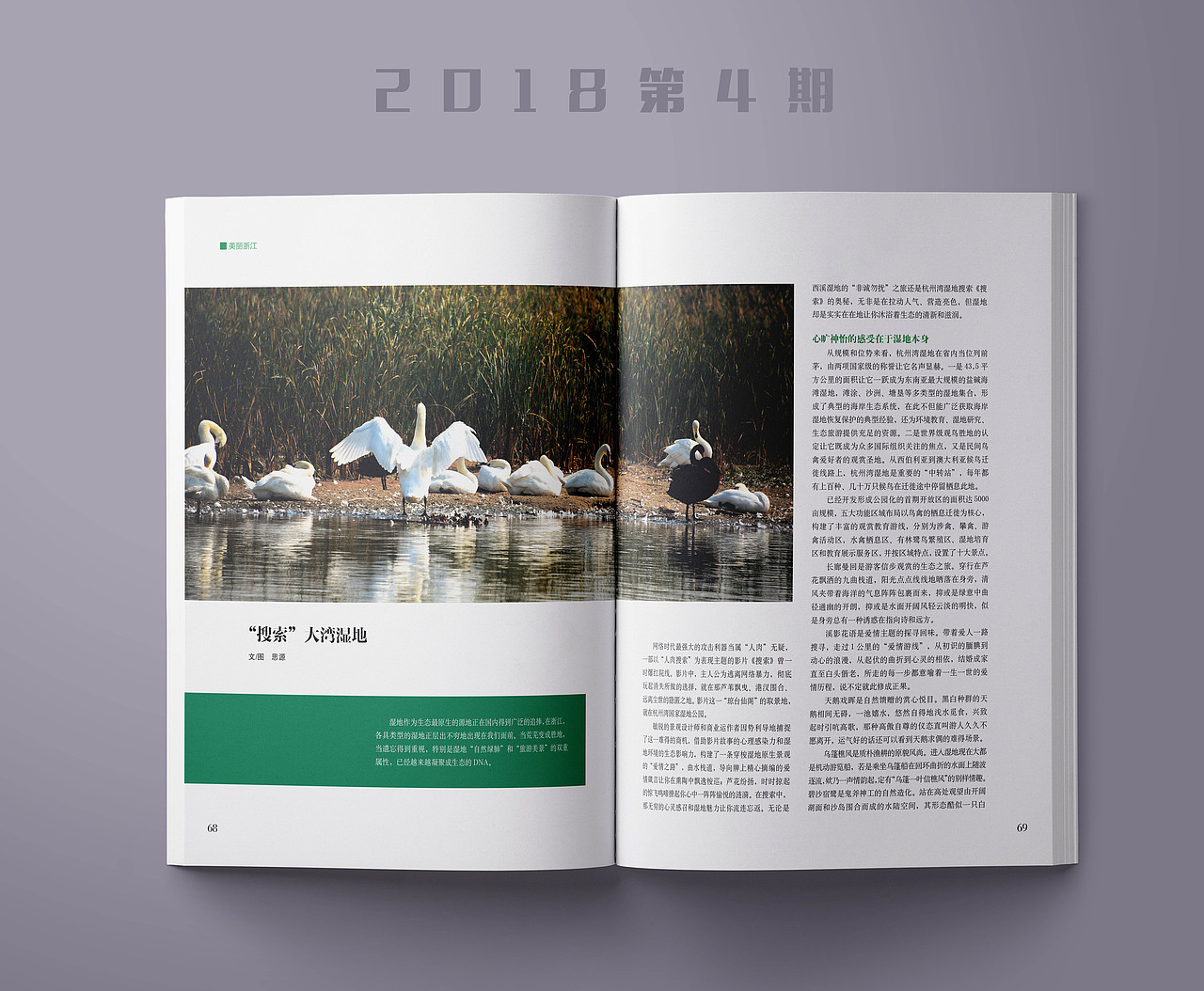 期刊排版（2）（图ZMTQ1NTQzNDIw） - 书籍/画册 - 站酷设计师布寸仔原创素材 - 站酷ZCOOL