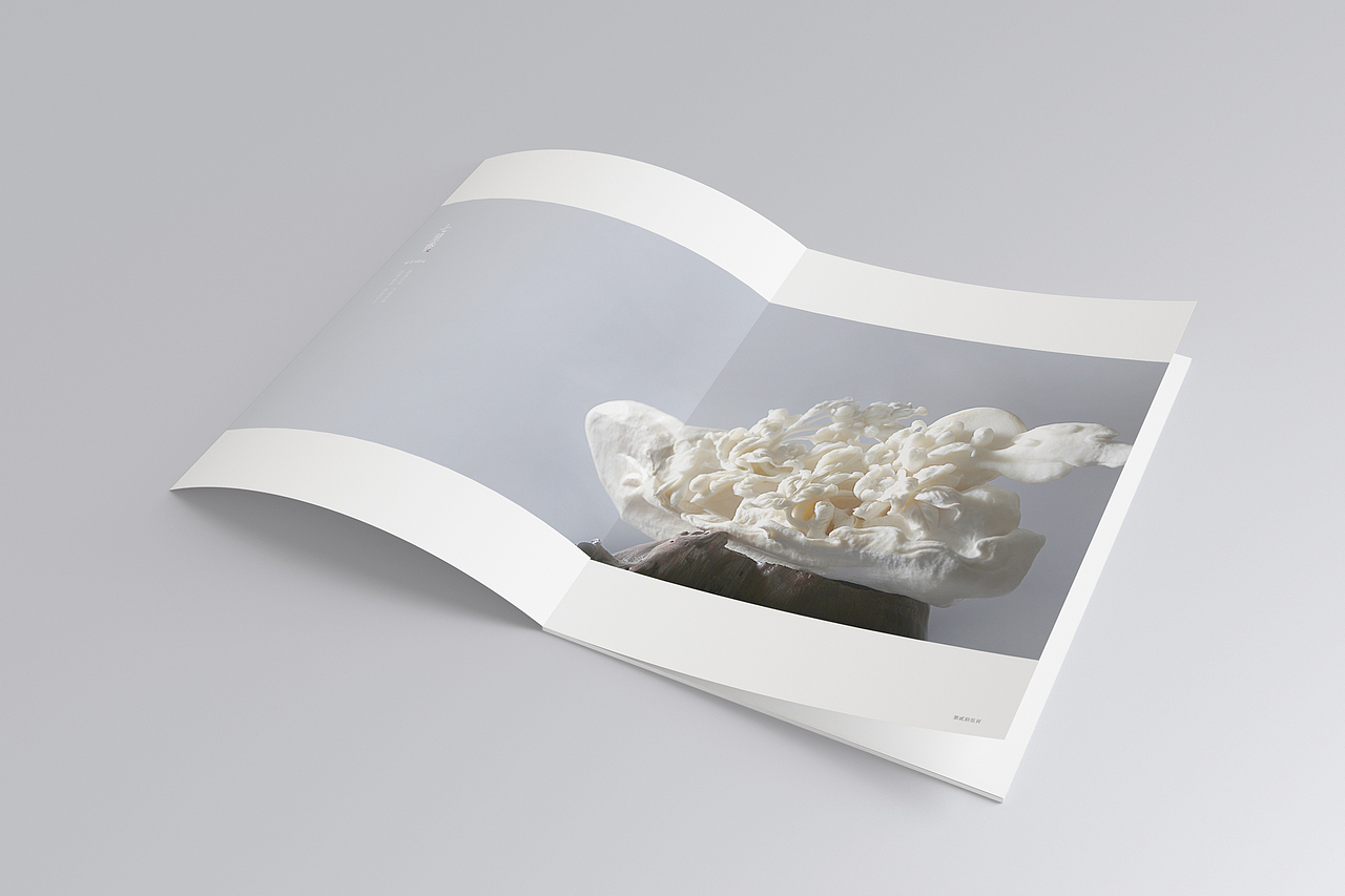 不二斋艺术品画册