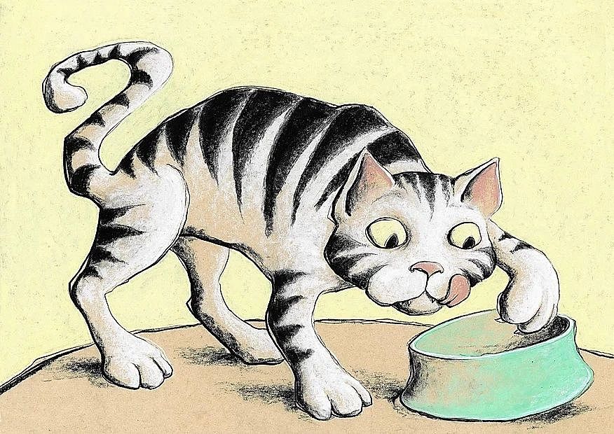 嗨插画获奖作品《女巫和苹果》