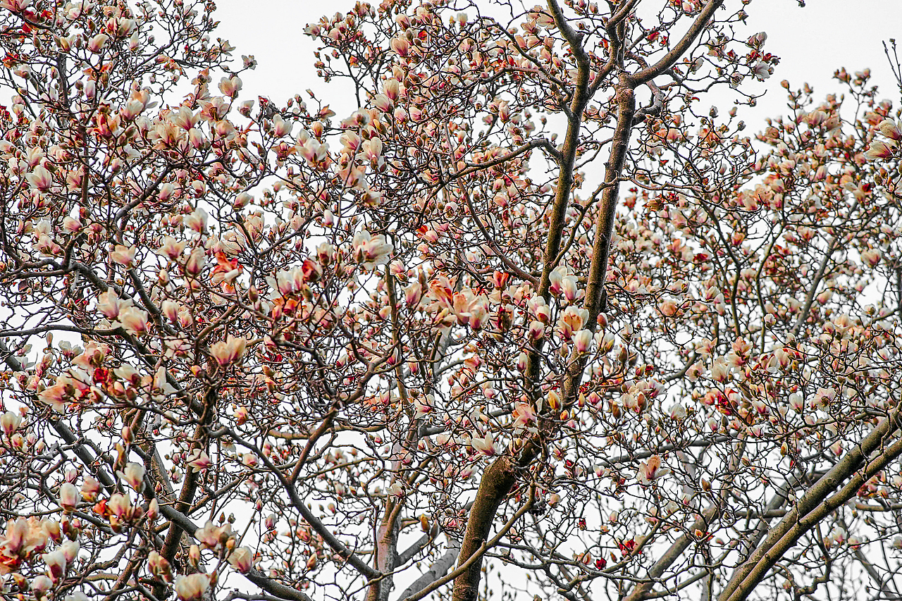 城市风貌系列6（图ZMzYzMTQ2MjIw） - 风光摄影 - 站酷设计师莫潘原创素材 - 站酷ZCOOL