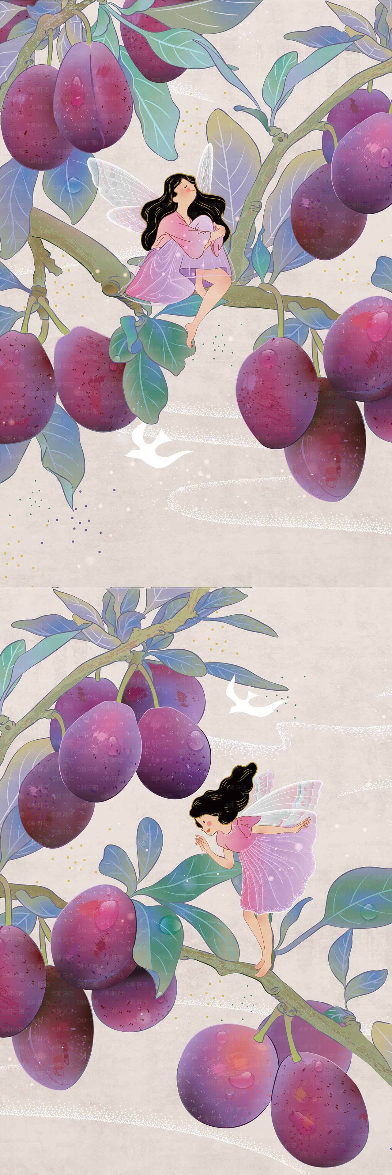 农产品包装插画/水果插画-西梅插画|插画|商业插画|耕阡陌 - 原创作品