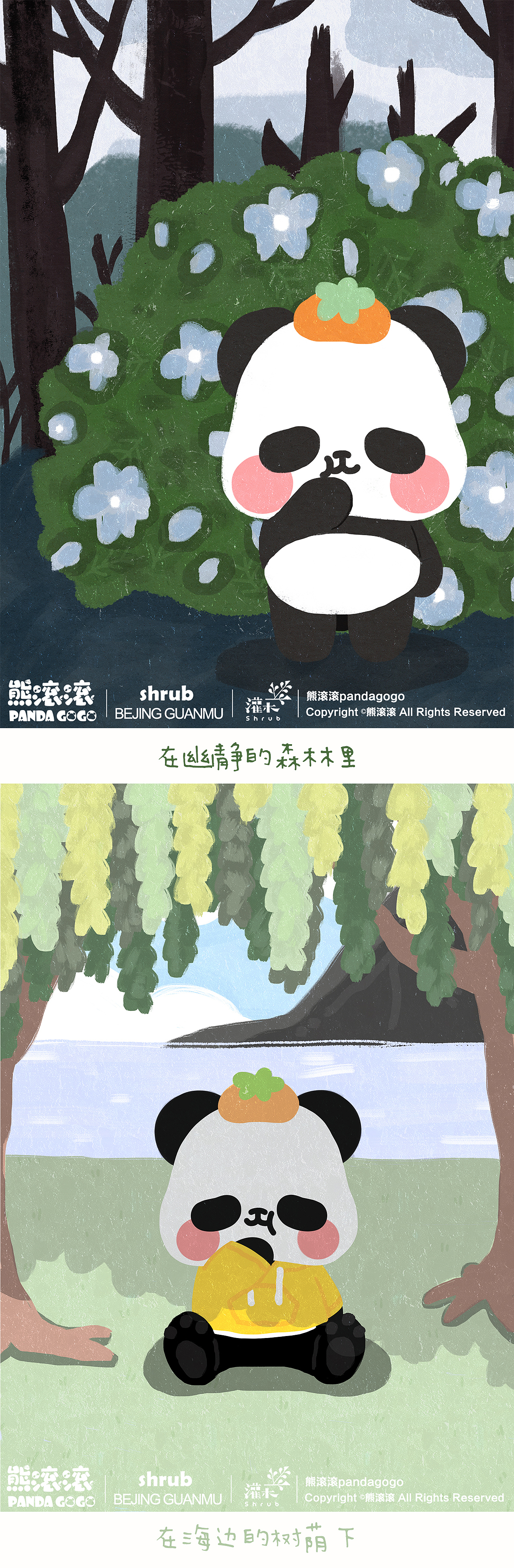 熊滚滚的五彩世界2