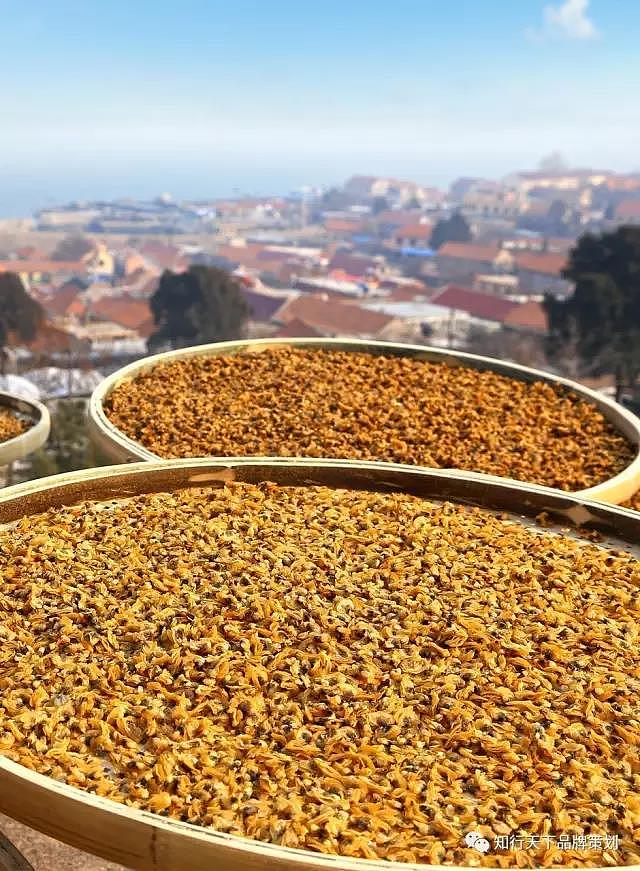 崂山三宝 一户一海米 一户一蛤 