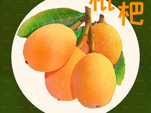 肌理风插画之水果系列-枇杷