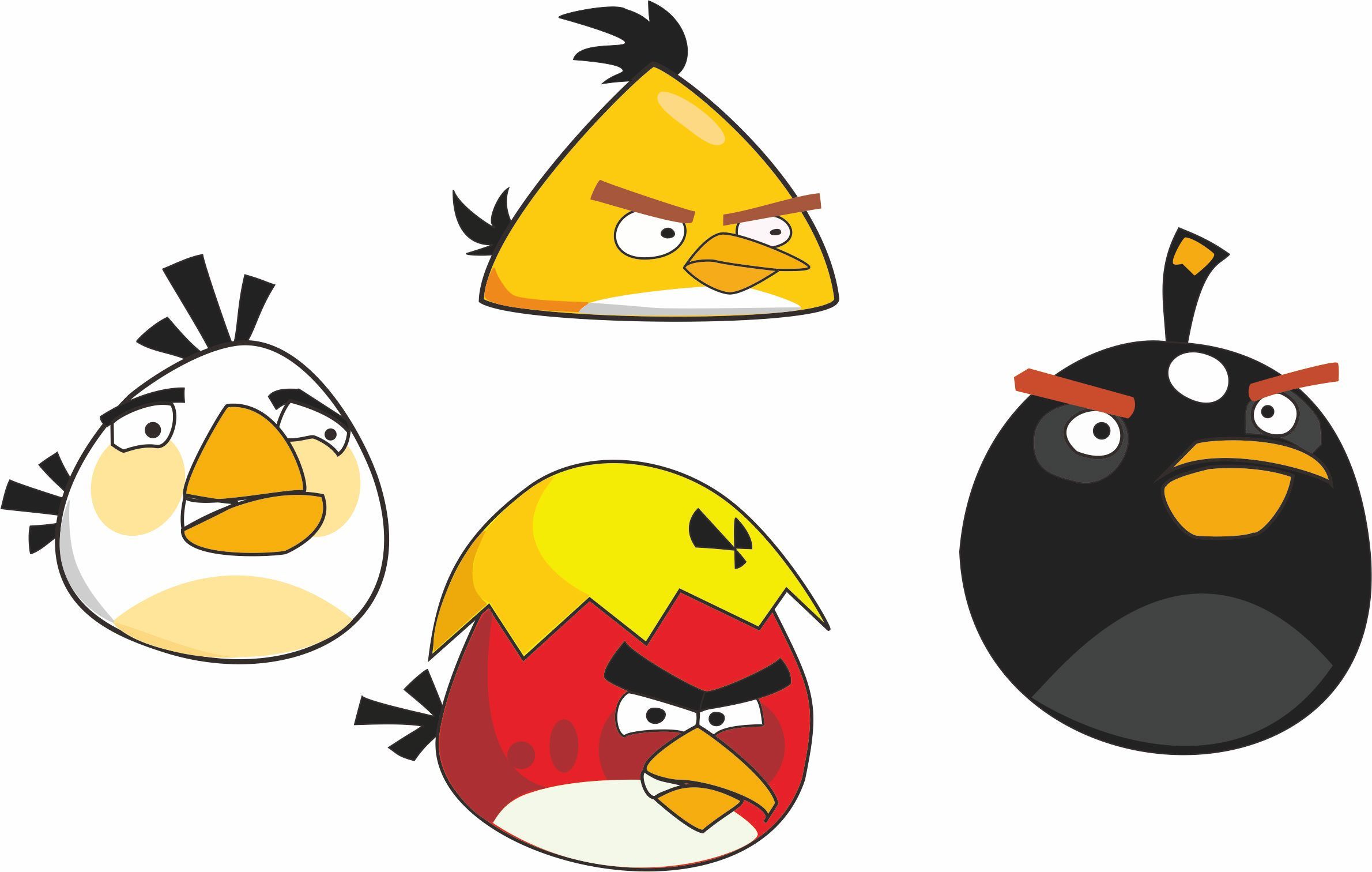 愤怒的小鸟|插画|插画习作|祁琪田田 - 原创作品 - 站酷 (ZCOOL)