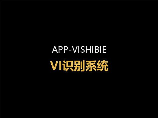 vi识别系统