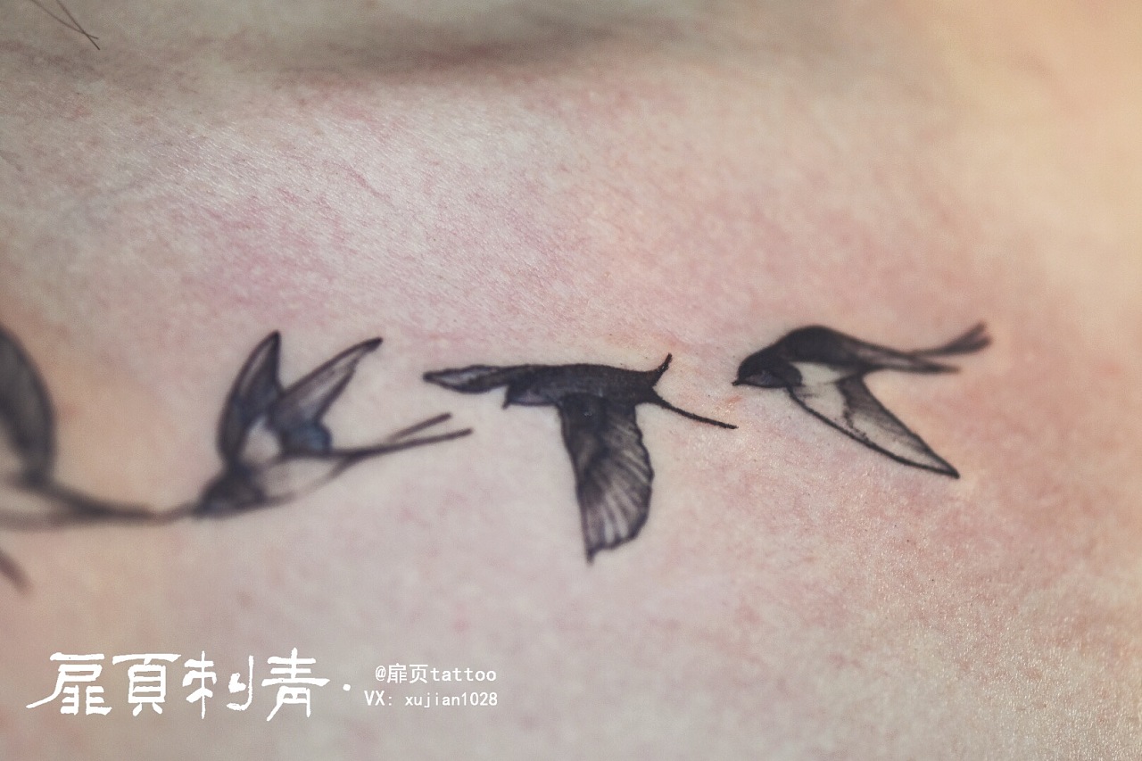 扉页tattoo 玫瑰燕子 纹身作品