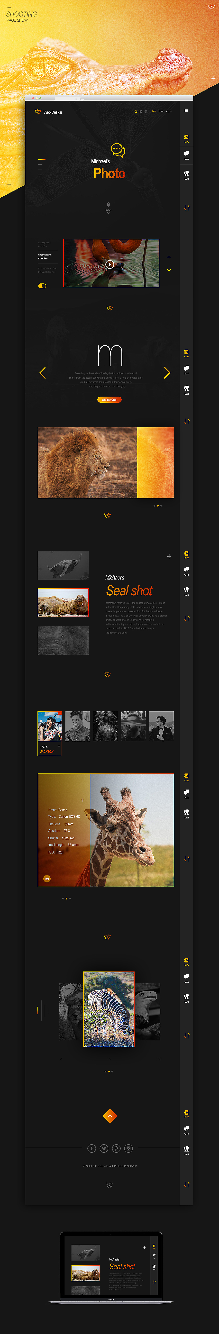 摄影题材网页排版/Photography theme page layout
