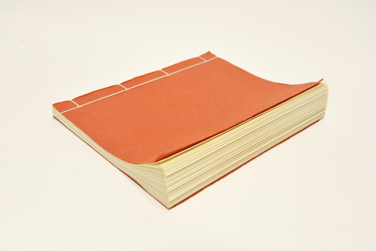 色|平面|书籍/画册|李政坷 - 原创作品 - 站酷 (zcool)