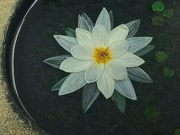 陈翔颖树脂画凝固瞬间的美