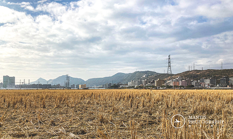 MANTIS 随拍2021（图ZMjgxNjA5Njg0） - 风光摄影 - 站酷设计师aaa62621185原创素材 - 站酷ZCOOL