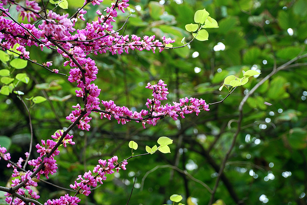 一些随意拍摄的照片，有旅途的、有生活过的城市（图ZMjMzNDc1NDA=） - 风光摄影 - 站酷设计师Chopin萧邦原创素材 - 站酷ZCOOL