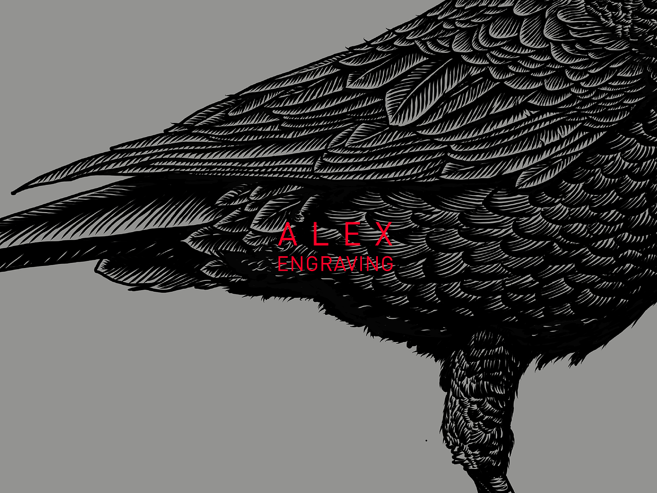 版画 - 乌鸦（图ZMTEwNzM3ODAw） - 商业插画 - 站酷设计师花椒的Alex原创素材 - 站酷ZCOOL