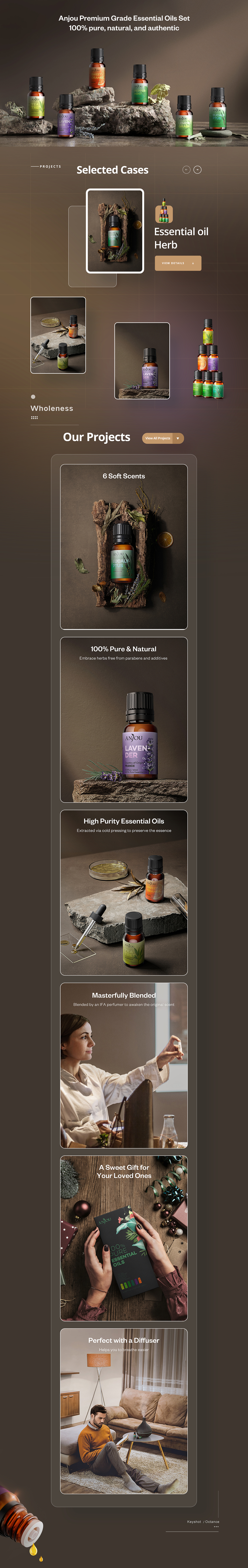 Anjou亚马逊详情设计x4（图ZMjUyMTgxODM2） - 电商 - 站酷设计师泽宝VDD原创素材 - 站酷ZCOOL