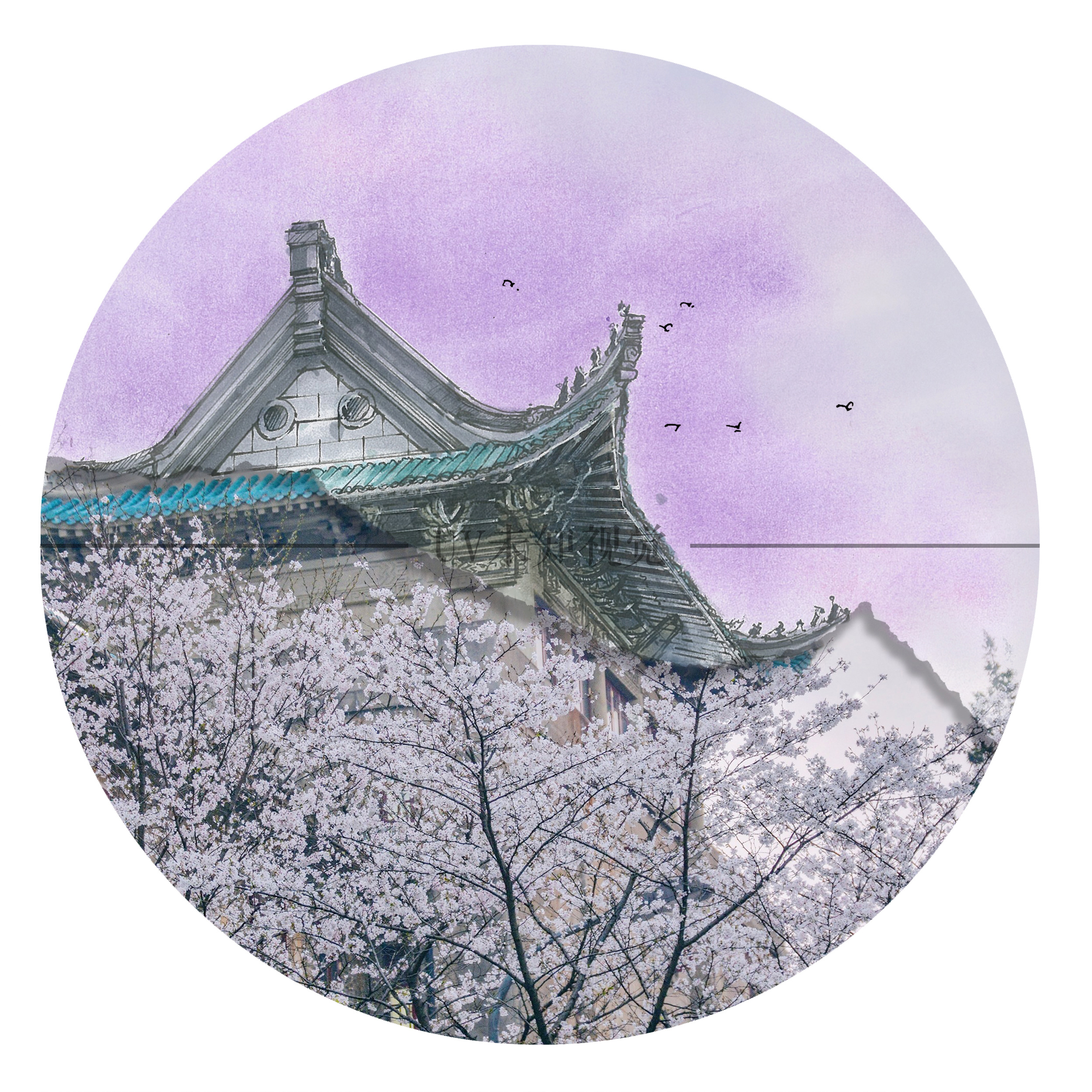 三月武大樱花季,手绘遇上摄影