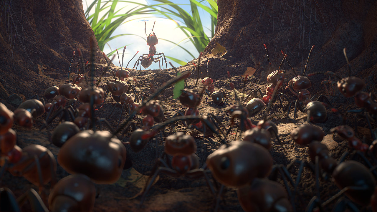 小小蚁国(the ants)一周年cg