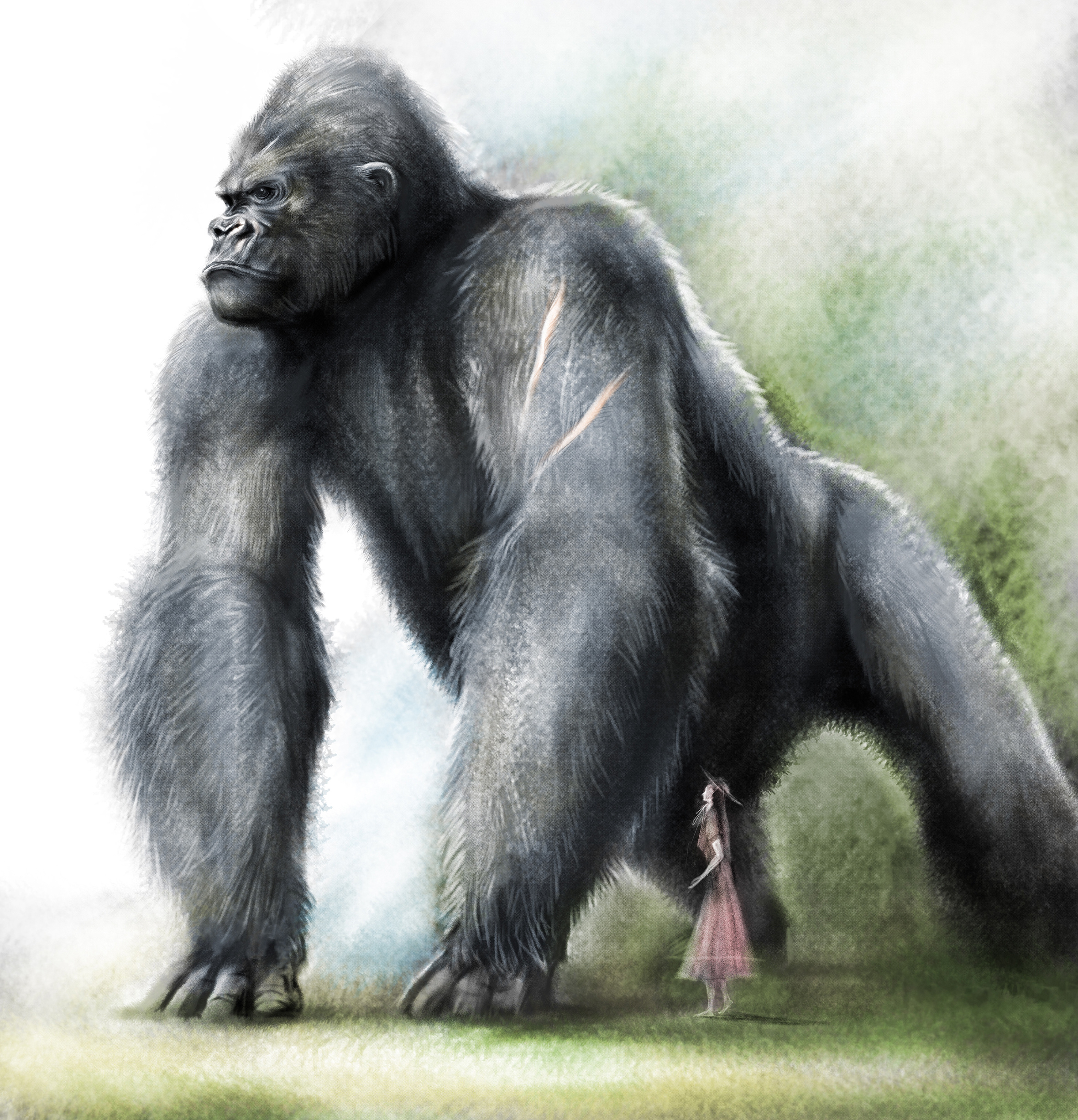 金刚|插画|创作习作|正义吧 - 原创作品 - 站酷 (zcool)