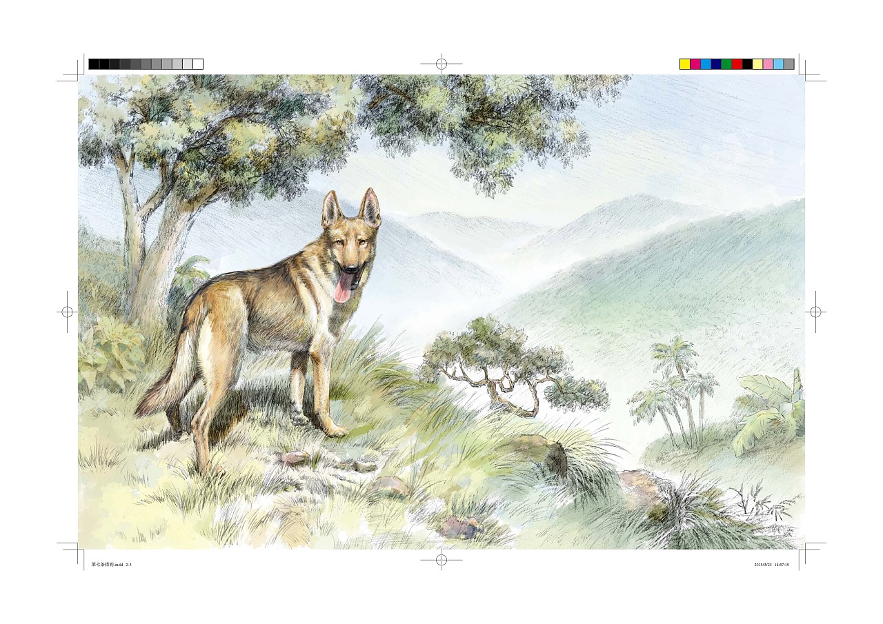 沈石溪：用文字为孩子们呈现一个不一样的动物世界 - 校园文学 - 春风文学网