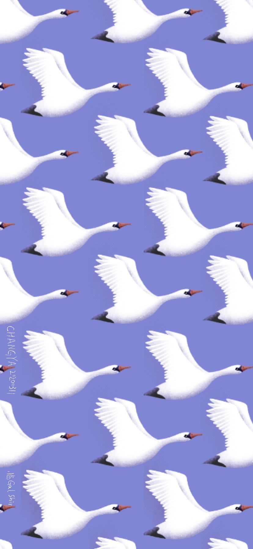 天鹅|插画|创作习作|红橡树yaaaaa - 临摹作品 - 站酷 (zcool)