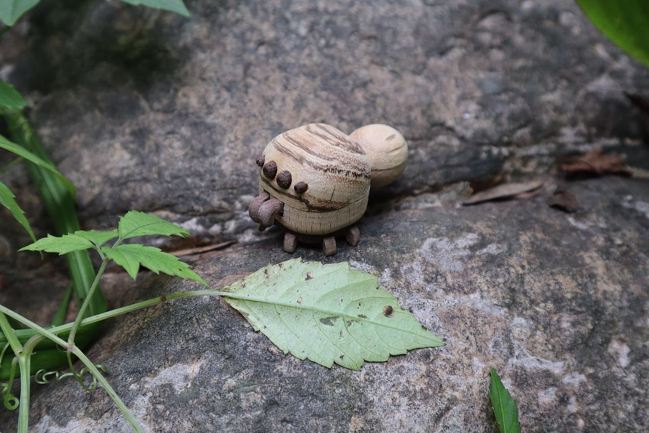 消失的昆虫们 Moil's handmade