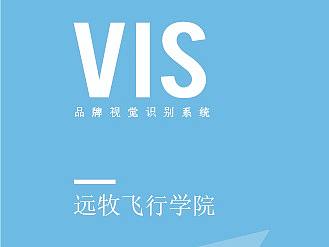 VI-飞行学院