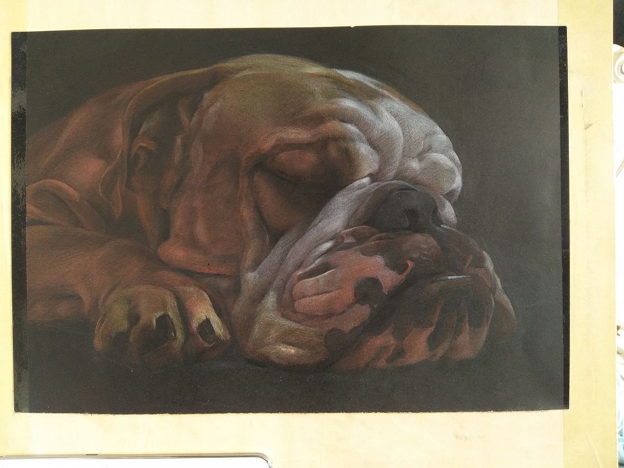 接触彩铅一月有余,求高手指教|纯艺术|绘画|王旮旯_原创作品-站酷