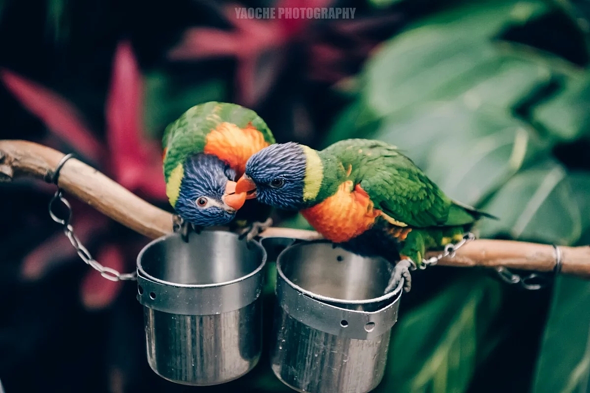 风景（图ZOTQ0MjM3MzI=） - 风光摄影 - 站酷设计师姚澈Cheyo原创素材 - 站酷ZCOOL