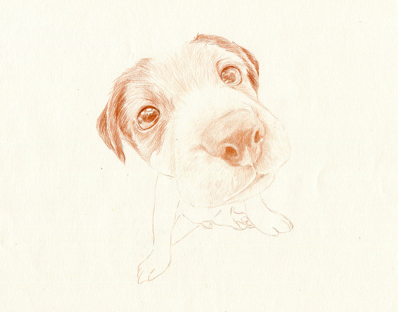 彩铅狗狗——杰克罗素梗犬（图ZMzU5NTAwNTY=） - 绘画 - 站酷设计师箐莜菲菲原创素材 - 站酷ZCOOL