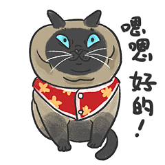 《快乐兽》猫咪搞笑表情包（图ZMTM4MTAwNDMy） - 网络表情 - 站酷设计师zhizhi吱吱原创素材 - 站酷ZCOOL