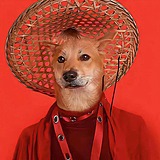 黄吉彪的头像