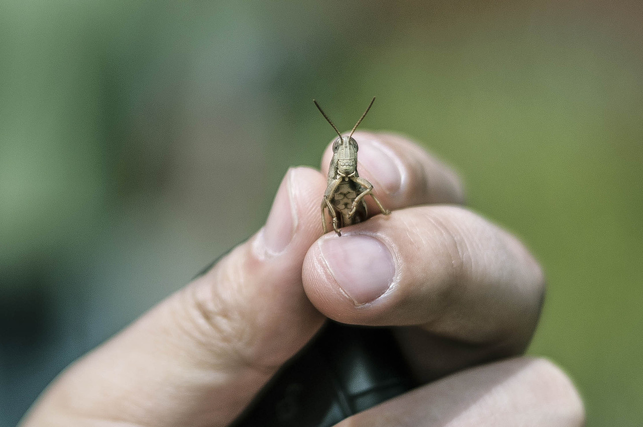 一个叫春的季节～（图ZNzYyNzIwNjQ=） - 风光摄影 - 站酷设计师13579air原创素材 - 站酷ZCOOL