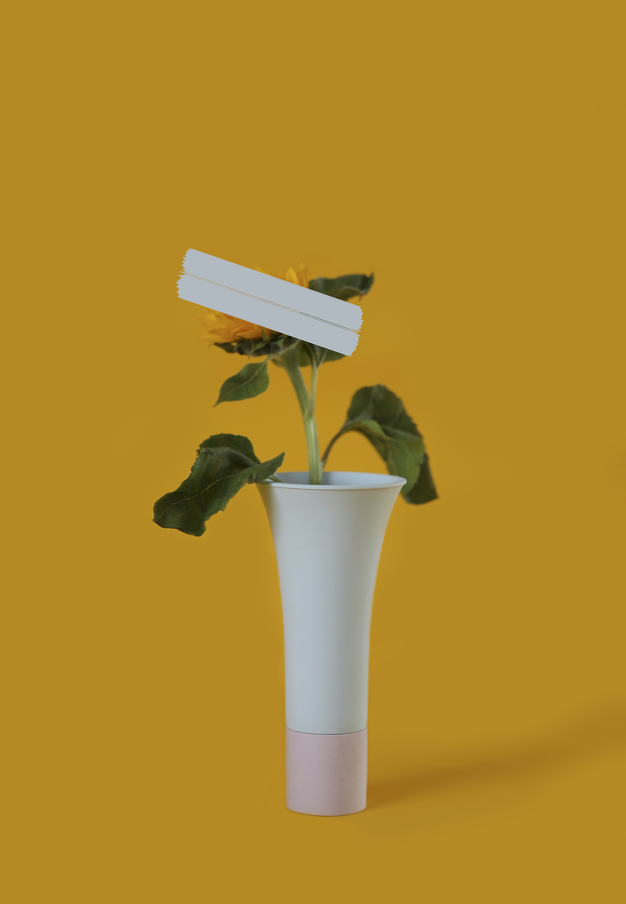 灯笼瓶 二（图ZMTUzNDE3Mjg0） - 产品摄影 - 站酷设计师煤球球的猫尾巴原创素材 - 站酷ZCOOL