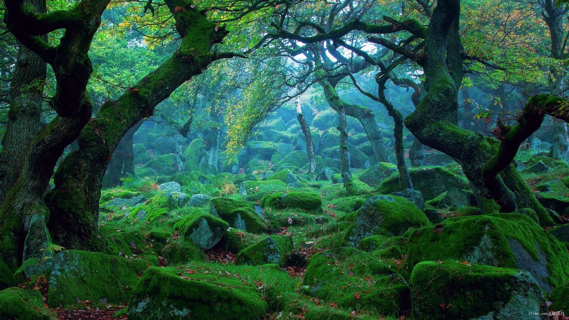 雨天静候彩虹的个人主页（封面预览） - 主页封面设置 - 站酷设计师雨天静候彩虹原创素材 - 站酷ZCOOL